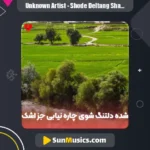 دانلود آهنگ شده دلتنگ شوی چاره نیابی جز اشک