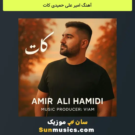 امیر علی حمیدی کات