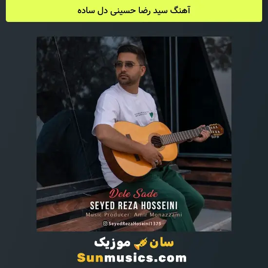 سید رضا حسینی دل ساده