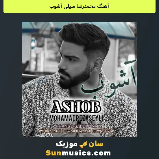 محمدرضا سیلی آشوب