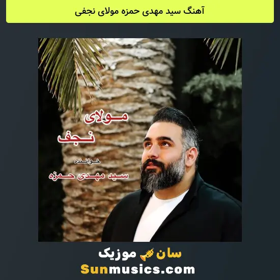 سید مهدی حمزه مولای نجفی